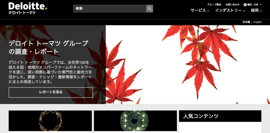 デロイトトーマツコンサルティング　企業情報